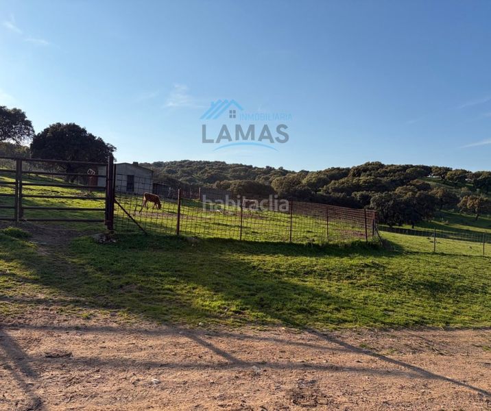 Foto 7a82f6f6-76fc-4754-b77a-d93cfc6a835b. Finca rústica a Serrejón