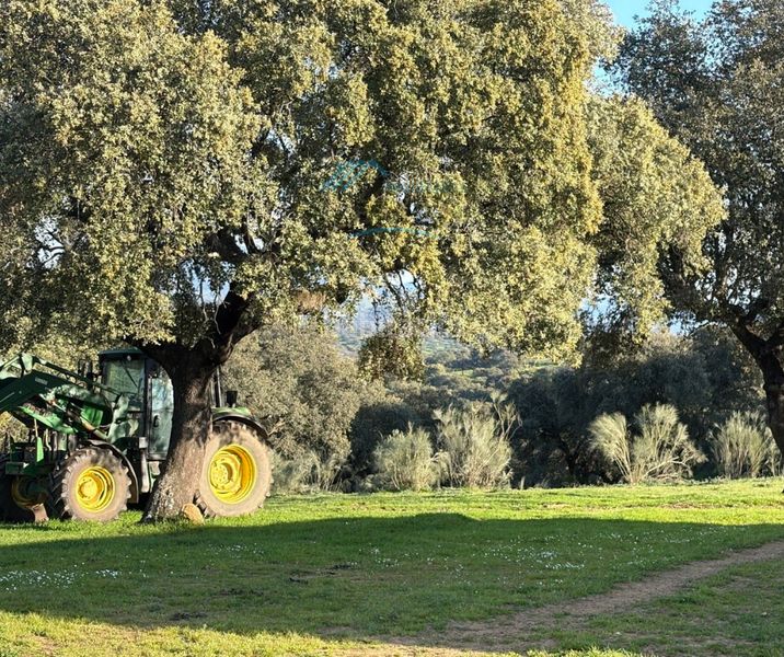Foto b12c18fe-b38c-4420-bb08-2d50ca2c811f. Finca rústica a Serrejón