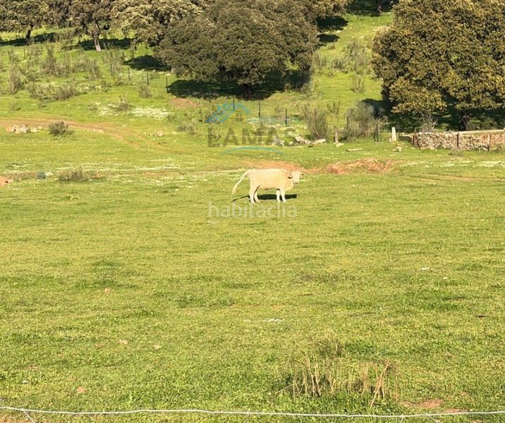 Foto dff3b63c-278c-4f07-9205-5a5123534c66. Finca rústica a Serrejón