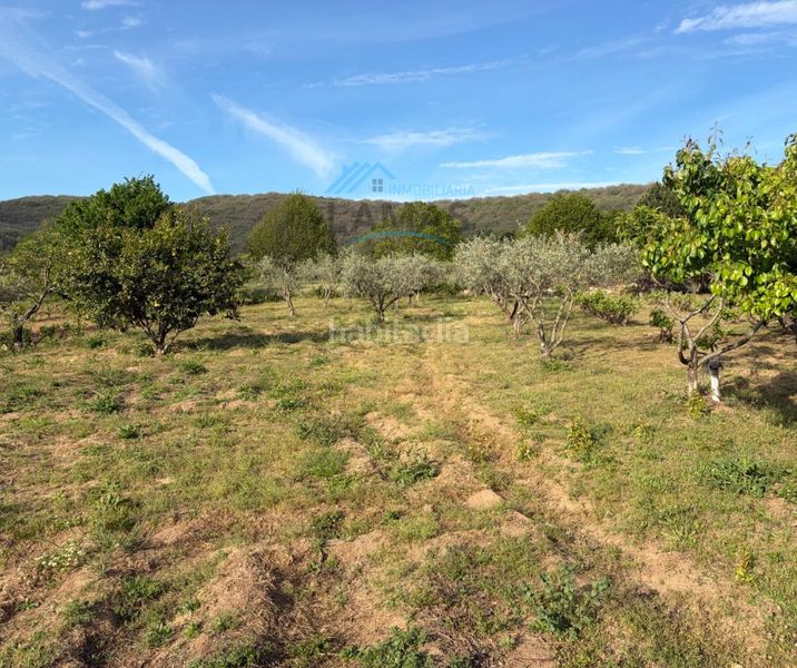 Foto 75f8d283-8d9f-49a3-af49-856a59585bbc. Masia a Jarandilla de la Vera