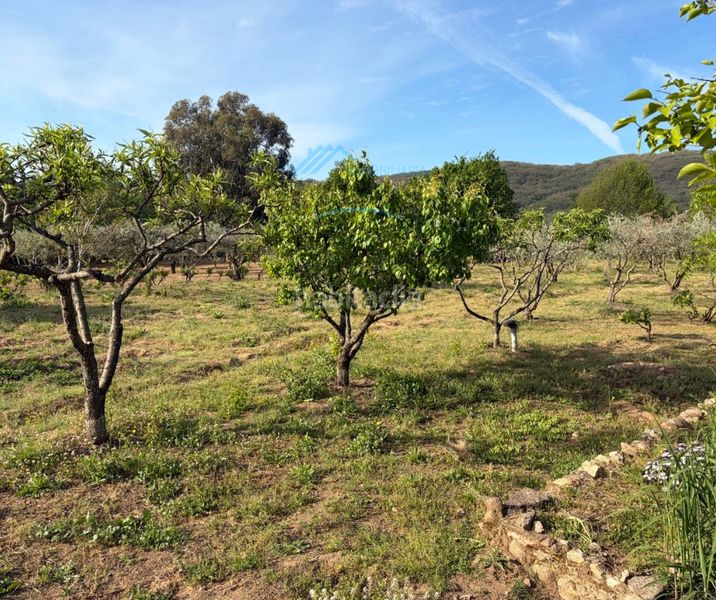 Foto cad2f9ab-4d13-442e-8ca8-f4e46b03af4c. Masia a Jarandilla de la Vera