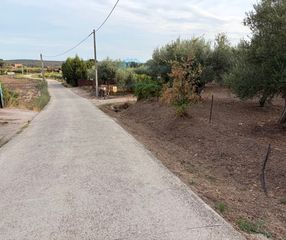 Finca rústica a Jarandilla de la Vera. Parcela con construcción en jarandilla