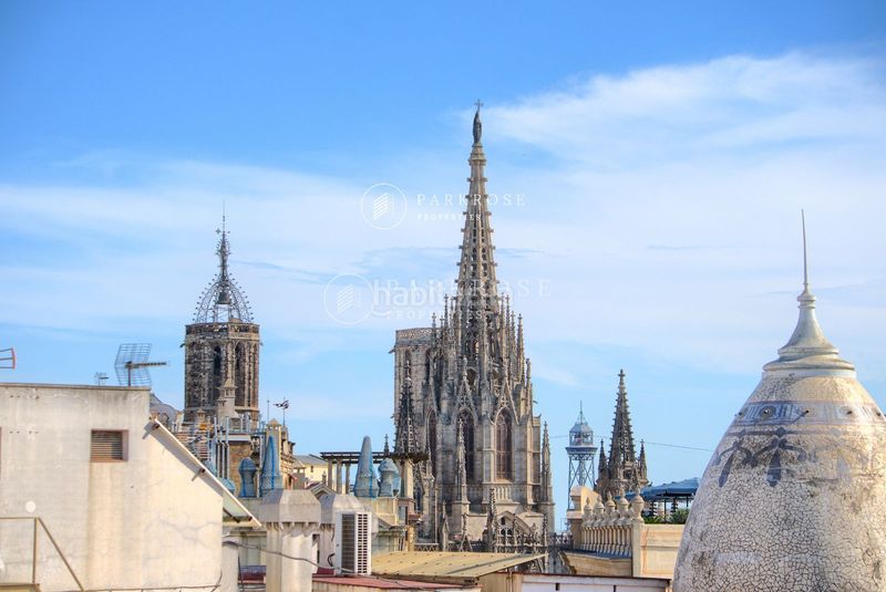 Foto bb5f4ec2-8974-47c1-8ddc-848e81b72c96. Pis a St. Pere - Sta. Caterina - El Born Barcelona