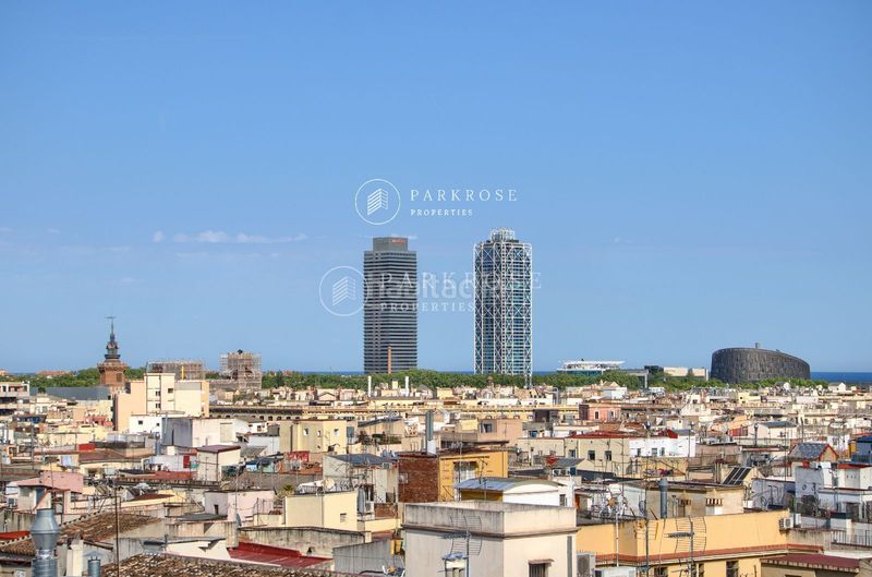 Foto c9739a1f-4d7e-4d77-833f-c40ff41358e1. Pis a St. Pere - Sta. Caterina - El Born Barcelona