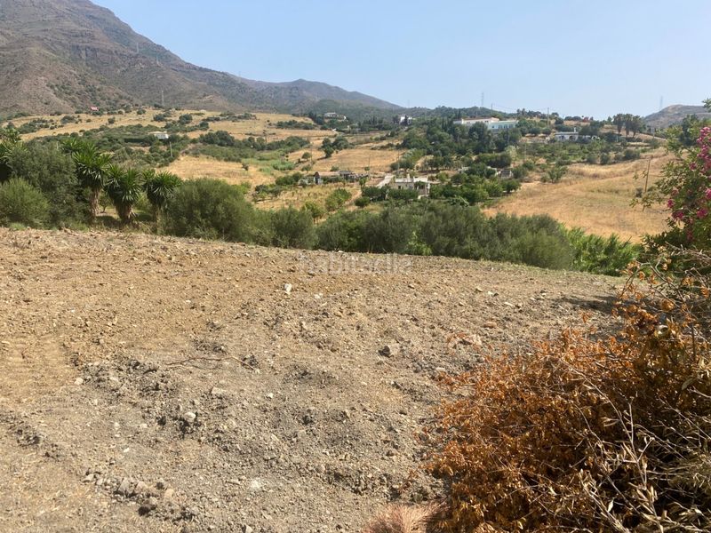 Foto d2cefd17-3e63-4e85-a0b8-e4a65780482a. Masia a sierra de Estepona - avda. de andalucía Estepona