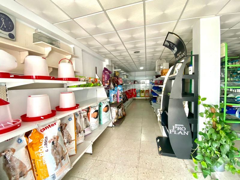 Foto cf8187bc-745e-4d9b-b96e-94c6ec6a12b3. Business premise in Tarifa ciudad Tarifa