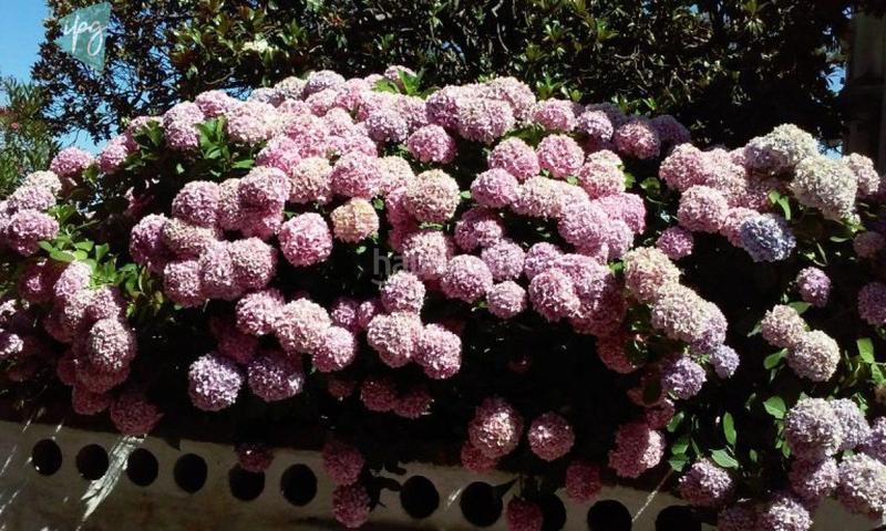 Foto 04497944-4177-4327-8ef0-6736f46e7b22. Chalet casa chalet cerca en Tarifa ciudad Tarifa