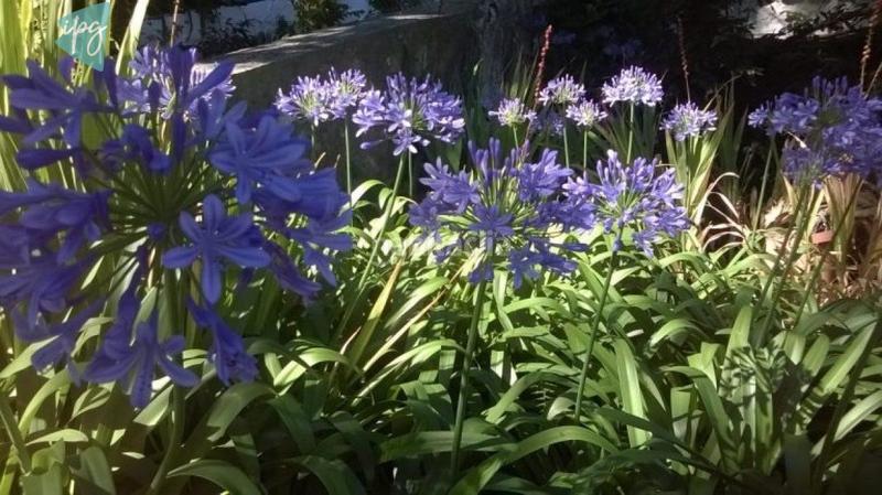 Foto 4d6b184c-2929-49d6-b190-033b0cb6c929. Chalet casa chalet cerca en Tarifa ciudad Tarifa