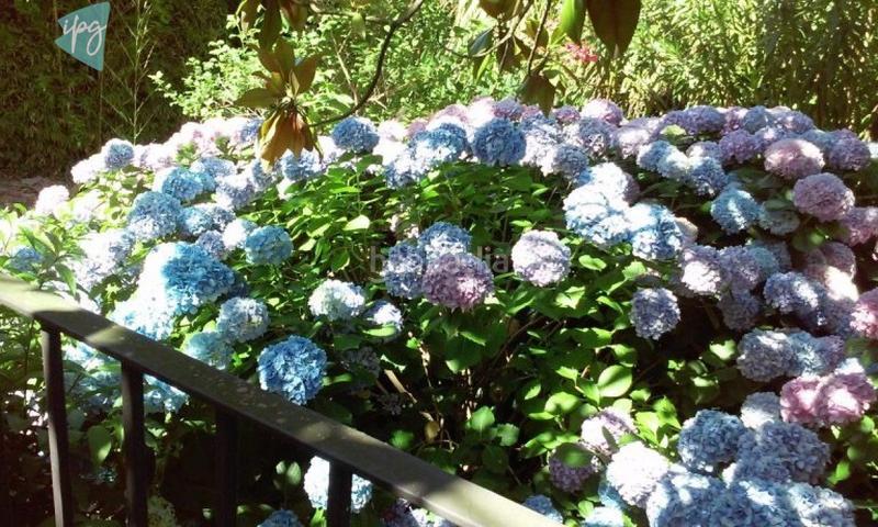 Foto 646a5ab5-da15-4586-8aaa-e0fbb44ecdbf. Chalet casa chalet cerca en Tarifa ciudad Tarifa