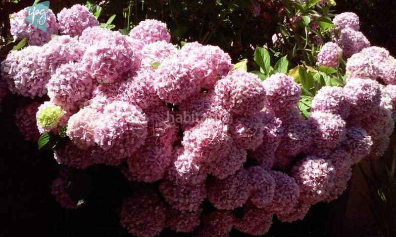 Foto 8d37960f-599a-4683-9fb9-2556da6989ec. Chalet casa chalet cerca en Tarifa ciudad Tarifa