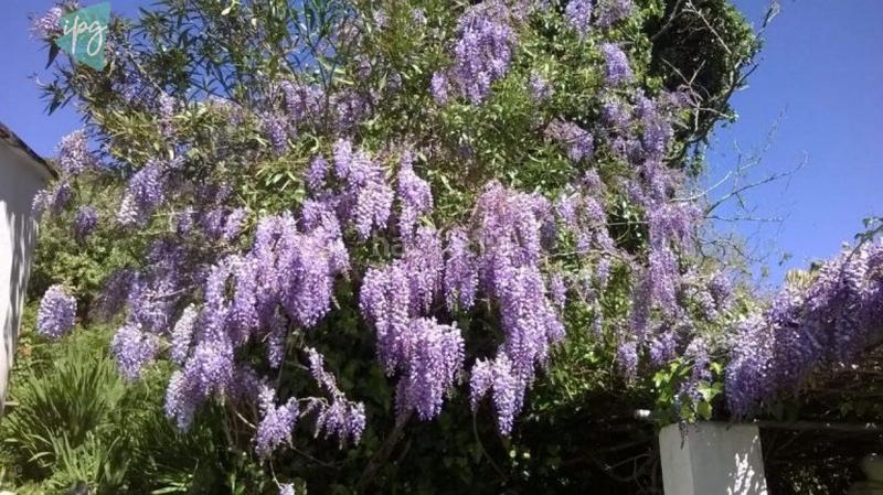 Foto e7f20254-bca4-4ebb-88cc-46229fd743e6. Chalet casa chalet cerca en Tarifa ciudad Tarifa