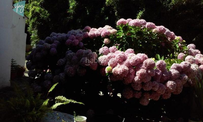 Foto e9e330ee-c543-4c24-8ac5-b262827c3f28. Chalet casa chalet cerca en Tarifa ciudad Tarifa