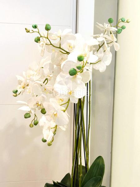 Foto e585897c-7d96-4a11-bc9c-e341eeb6cadb. Etagenwohnung mit parking pool in Centro Estepona