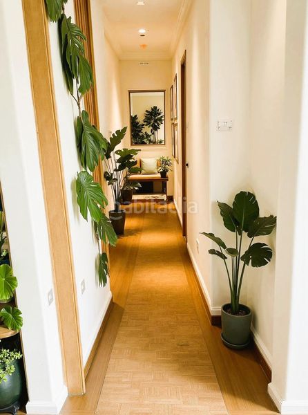 Foto aa004412-68a4-4740-957c-da425324c553. Apartament a Tarifa ciudad Tarifa