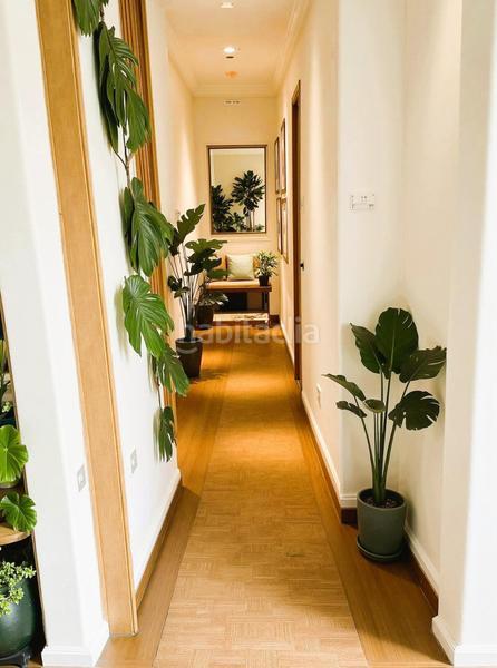 Foto c6ab12fd-105b-4203-bfff-f9856ec654cb. Apartament a Tarifa ciudad Tarifa