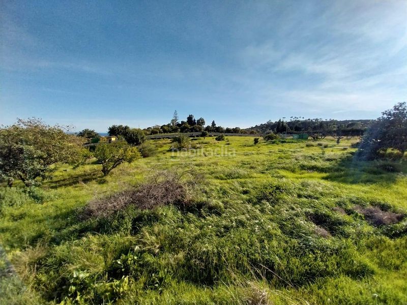 Foto 7987a56e-5f47-491b-b2b6-d27118b69db0. Casa amb aparcament a Los Llanos Estepona