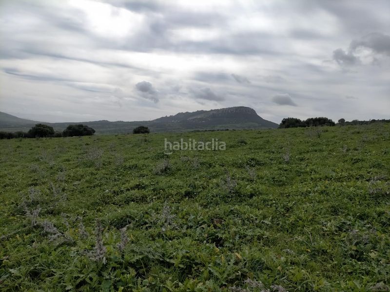 Foto 16ed3c1c-cbee-4016-b015-c2a62086ca64. Finca rústica a lugar lugar cumbres 10 a Facinas Tarifa