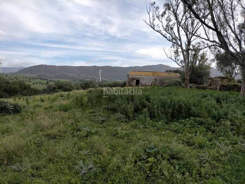 Foto 1be88d70-6ff1-4807-9d5c-f56ecb5fb25a. Finca rústica a lugar lugar cumbres 10 a Facinas Tarifa