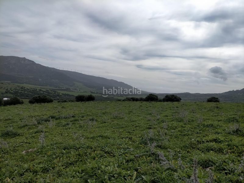 Foto 6e6f6013-1bf8-46c4-bd03-1ba2a5c6f337. Finca rústica a lugar lugar cumbres 10 a Facinas Tarifa