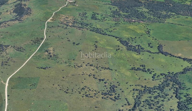 Foto abd0765c-c7d1-41a0-adb3-7c589622db3d. Finca rústica a lugar lugar cumbres 10 a Facinas Tarifa