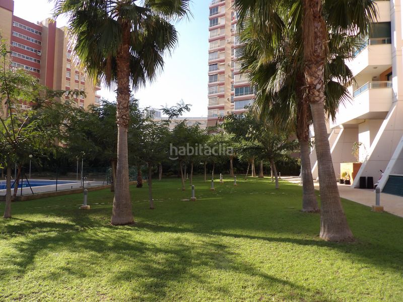 Foto 04a51ce2-52de-487c-bd80-363b5e956d5a. Apartament amb piscina a Rincón Bajo Benidorm