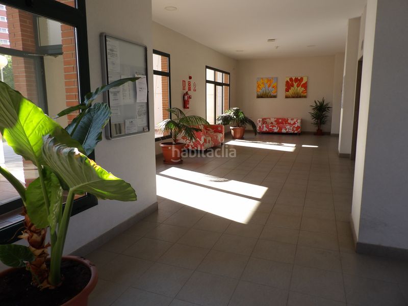 Foto 24d5a6fc-b39e-4cf2-aa13-6d9b002b5e18. Apartament amb piscina a Rincón Bajo Benidorm