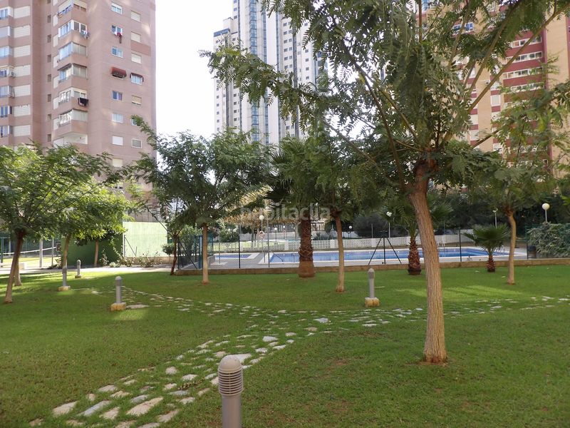 Foto 538ab767-bdea-4dda-bb1b-dc0844a9d5bf. Apartament amb piscina a Rincón Bajo Benidorm