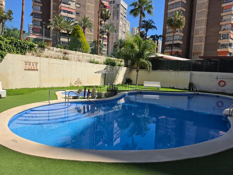 Foto 38a706ef-80b3-48e1-82c6-acc1baf7c7e2. Apartament amb piscina a Juzgados - Plaza de Toros Benidorm