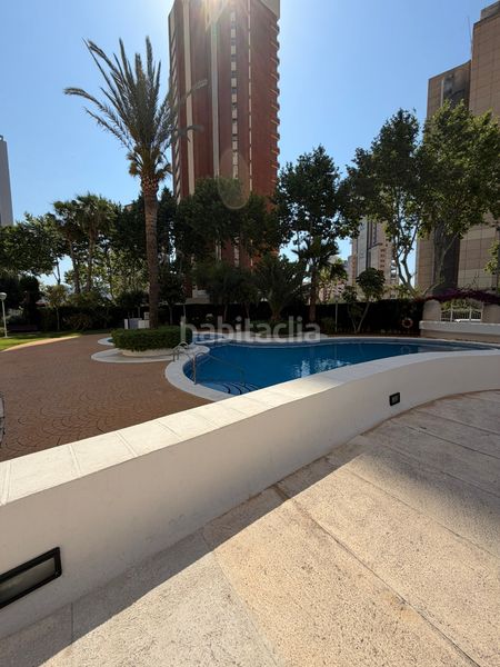 Foto 4db3ddd3-4c70-4187-bbdb-15b059c0e484. Lloguer apartament amb aparcament piscina a Levante Alto Benidorm