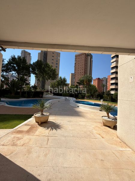 Foto 5421ba76-d708-4e5a-8568-11120e7edd4c. Lloguer apartament amb aparcament piscina a Levante Alto Benidorm