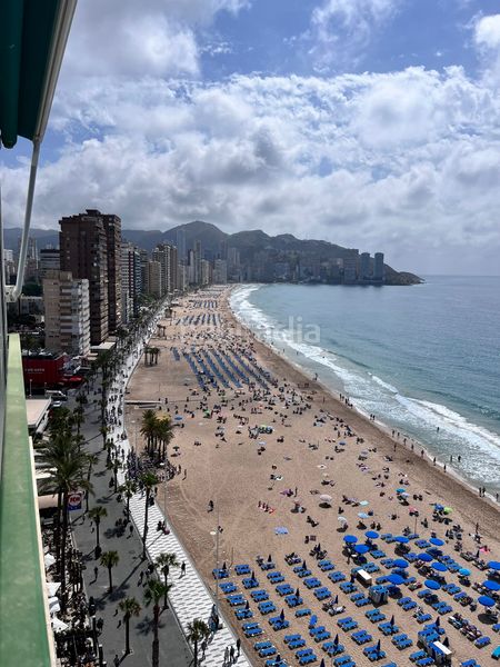 Foto 38c9e244-d960-4a9c-800b-92375c921dc3. Lloguer pis amb aparcament a Playa Levante Benidorm