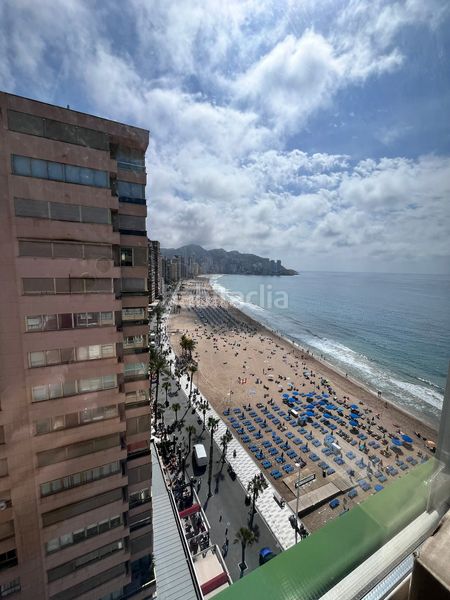 Foto 84c897e4-53cf-4bdd-a5b4-1c9183ed59bf. Lloguer pis amb aparcament a Playa Levante Benidorm