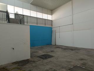 Alquiler Nave industrial en Palmete. Nave en alquiler en la negrilla