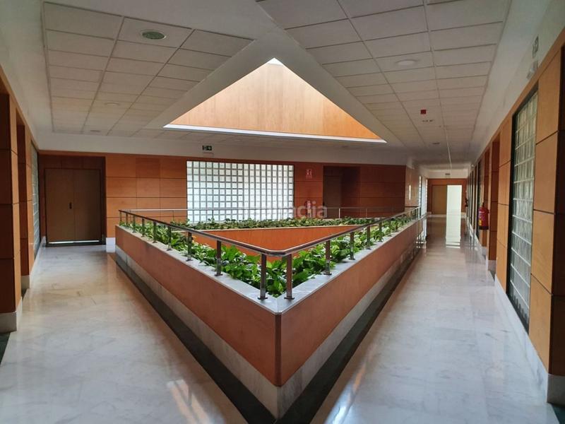 Foto 831017b3-a0da-409e-b32a-efc8ee49bdce. Location bureau dans Parque Alcosa Sevilla