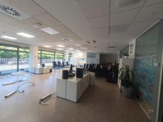 Location Bureau à Sector Sur  - La Palmera - Reina Mercedes. Edificio representativo en avenida de la palmera, sevilla