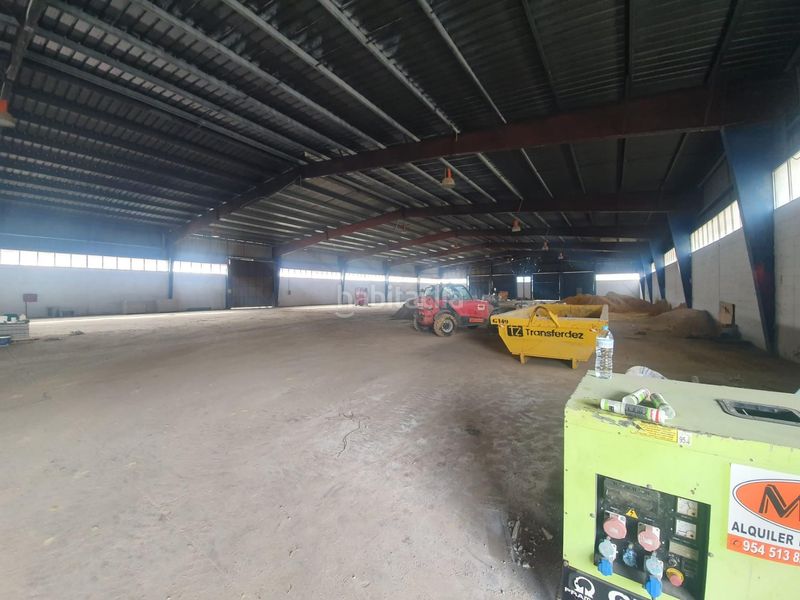 Foto bcbafd5c-0bd3-4405-86de-f0a51a611862. Nau industrial a La Motilla - Fuente del Rey Dos Hermanas