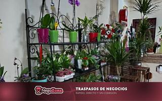 Pas-de-porte Local commercial à Calle doctor azpitarte 10. Traspaso floristería en granada