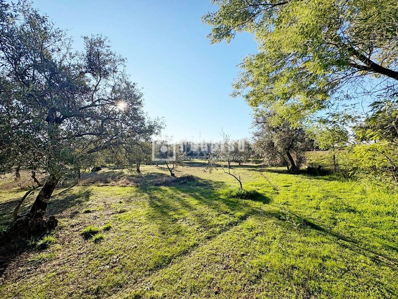Foto 6ba97b9b-1070-48dc-8855-71d135e23c7d. Casa  independiente en gran finca en Cadalso de los Vidrios