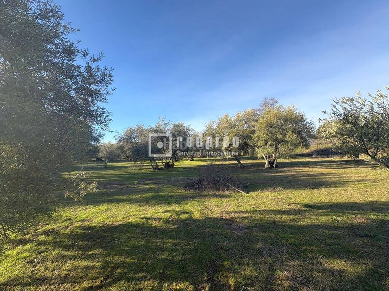 Foto 7ed24a91-9b36-4843-8c10-e82c8603146b. Casa  independiente en gran finca en Cadalso de los Vidrios