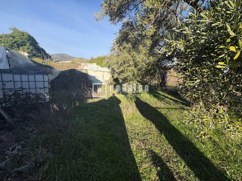 Foto 85cd22f7-fd31-45ab-98e2-92a19bbeb4ab. Casa  independiente en gran finca en Cadalso de los Vidrios