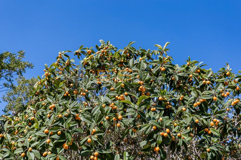 Foto b2adc1ad-bcef-46a4-9217-01b738abfa6c. Lloguer casa amb calefacció aparcament piscina a Catllar (El)