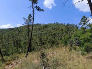 Terreno residencial en San Roque - Ronda Norte. Rustica  monesterio el robledillo