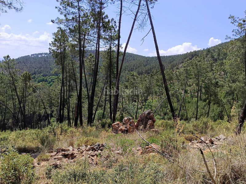 Foto 15f6c4f3-4967-49c4-b8ab-efea653e61c3. Terreny residencial a Monesterio