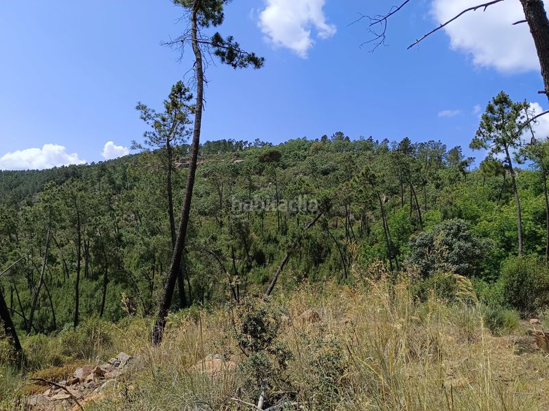 Foto 45586313-289e-4f51-9780-500fd88ba117. Terreny residencial a Monesterio