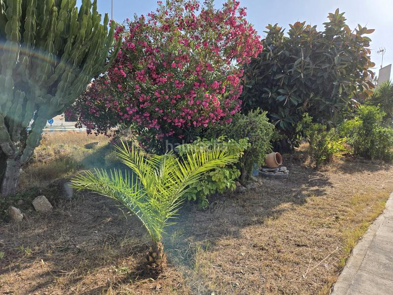 Foto a1625a3b-87d8-481d-9e4b-f6ec586224ac. Chalet en calle del morral 218 chalet adosado en playa flamenca, costa en Orihuela