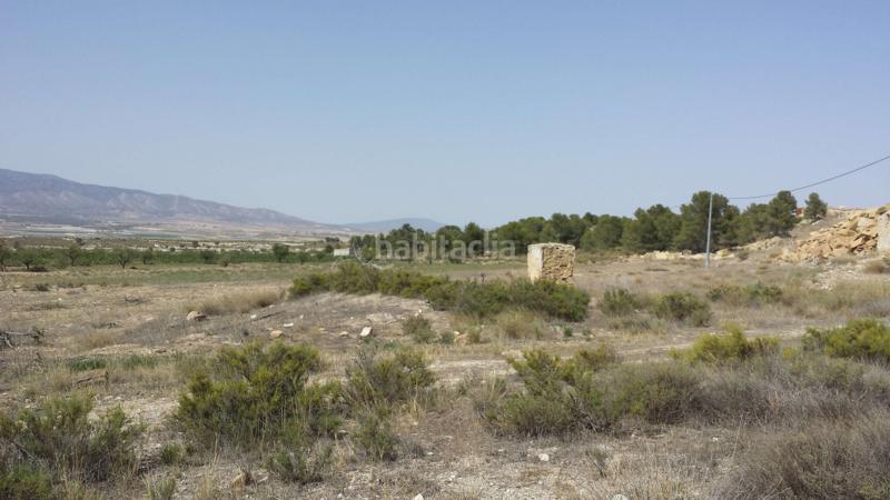 Foto 0d2bb279-fffc-4c14-b71a-dca8091c1b15. Chalet in carretera pinoso 21 in Fortuna