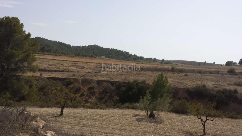 Foto 27d1b4bf-fd9a-45c6-be74-ac0e0844c677. Chalet in carretera pinoso 21 in Fortuna