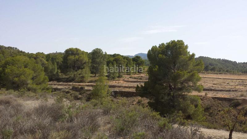 Foto 4a02a7b1-bed8-49f9-b146-7d63e1bc6640. Chalet in carretera pinoso 21 in Fortuna