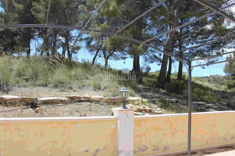 Foto 7e67d3f7-08c8-4374-a0ad-f199d14cc23d. Chalet in carretera pinoso 21 in Fortuna