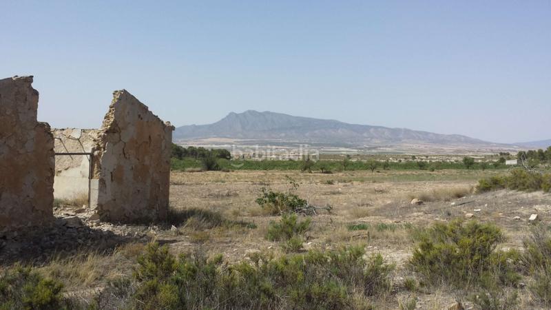 Foto 920aa7b3-fb11-44b2-a82a-1ec17f0e4390. Chalet in carretera pinoso 21 in Fortuna